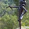 Sculptures in the Scrub Baradine