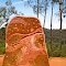 Sculptures in the Scrub