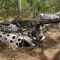 Wing and undercarriage Beaufort Bomber