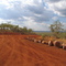 Philips Range Lookout
