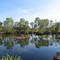 Manning Creek - Manning Gorge Campsite