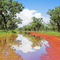 Gibb River Road in 'The Wet'