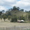 Bingara to Barraba