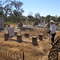 Boort cemetery