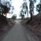 Beechworth to Everton Rail Trail - full speed ahead