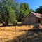 Old farm house by David Gibbs