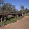 BVRT : Coominya Trestle Bridge