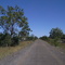 BVRT : Lowood - Coominya Section