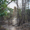 Litchfield NP, Huge Magnetic Termite Mound