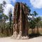 Cathedral Termite Mounds, Litchfield National Park, NT