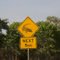 Australia kakadu