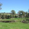 Ponds near Platypus Park Country Retreat, near Bridport