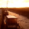 Jetty - Bridport, Tasmania
