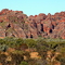 Bungles : First Siting