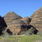 Beehive panorama