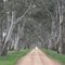 Country Victoria, Buangor, Australia