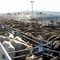 Sale Yards. Bothwell.Tasmania