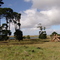 st enochs