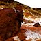 big rock