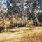 Bridgewater on Loddon; The Mill informal camp ground