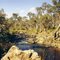 Bridgewater on Loddon; The Mill swimming hole