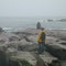 Hope Island Sea lions
