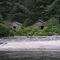 Abandoned houses on the Nahwitti River