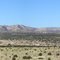 Alamo Panoramic