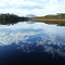 Melaleuca Creek