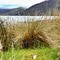 Bathurst Harbour SW Tasmania