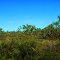 North Queensland Outback Scenery from the Inlander