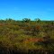 North Queensland Outback Scenery from the Inlander