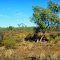 North Queensland Outback Scenery from the Inlander