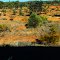North Queensland Outback Scenery from the Inlander