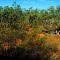 North Queensland Outback Dry Creekbed from the Inlander