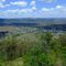 view over Bingara from Batterham Memorial Lookout