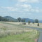 North of Bingara