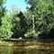 looking across the surface of a pool in the Kowmung towards riparian forest
