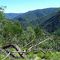 looking from Manga Ridge towards Sorrow Spur