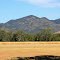 Mount Walsh as backdrop to Biggenden Airstrip