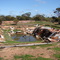 Old Dam