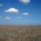 Lakefield NP, Nifold Plains