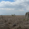 Plain, Lakefield National Park