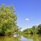 Melaleuca watering hole