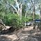 Melaleuca Camp 4