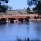 Albert River Burketown 2008