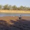 One eye out for Crocodiles