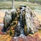 Artesian Bore