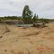Harris Lake