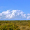 West Australia Coral Coast
